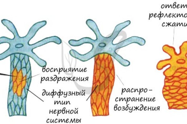 Кракен сайт в тор браузере