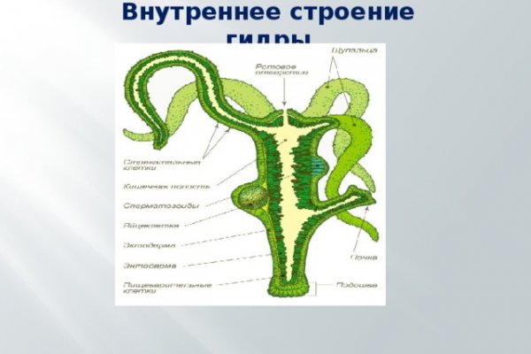 Сайт кракен зайти